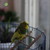 Image-square_50