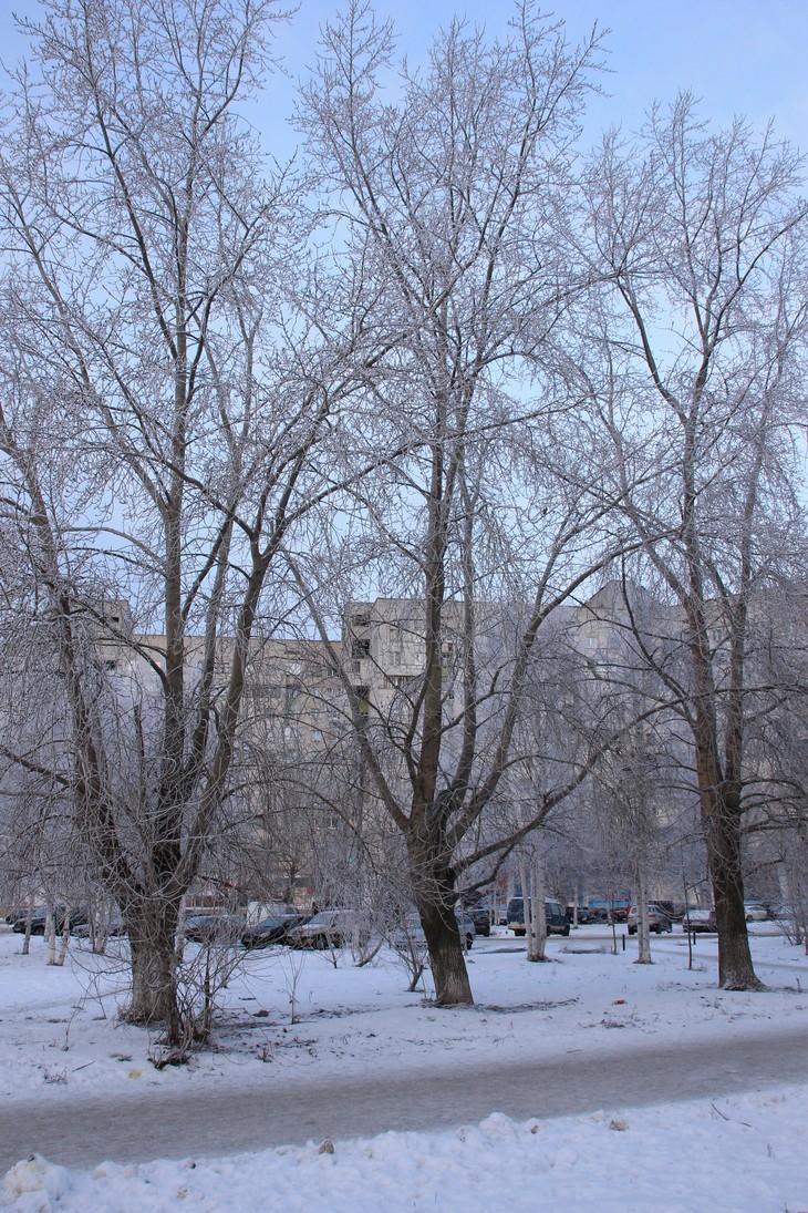 Image-normal