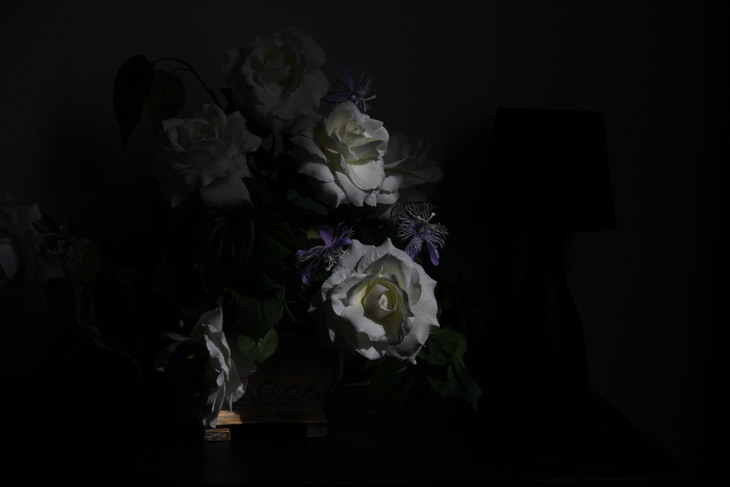 Image-normal