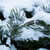 Image-square_50