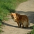 Image-square_50