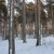 Image-square_50