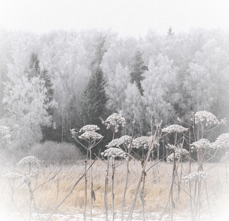 Image-normal