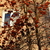 Image-square_50