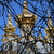 Image-square_50