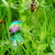 Image-square_50