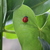 Image-square_50