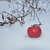 Image-square_50