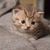 Image-square_50