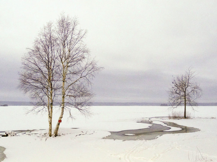 Image-normal