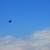 Image-square_50