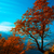 Image-square_50