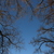 Image-square_50