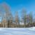 Image-square_50