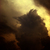 Image-square_50