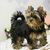 Image-square_50