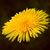 Image-square_50