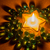 Image-square_50