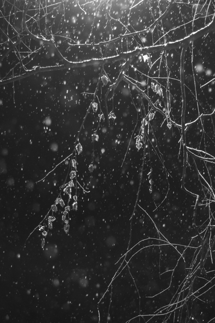 Image-normal