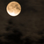 Image-square_50