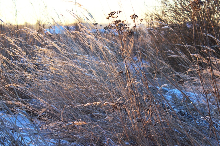 Image-normal