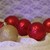 Image-square_50