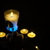 Image-square_50