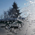 Image-square_50