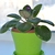 Image-square_50