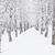 Image-square_50