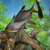 Image-square_50