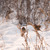 Image-square_50
