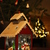 Image-square_50