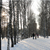 Image-square_50