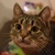 Image-square_50