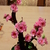 Image-square_50