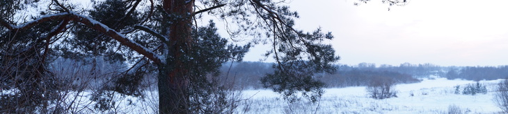 Image-normal
