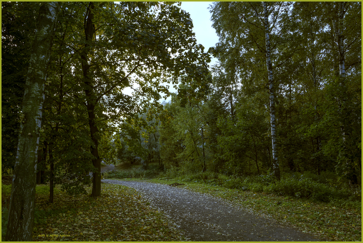 Image-normal