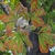 Image-square_50