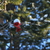 Image-square_50