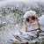 Image-square_50