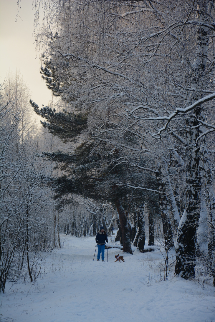 Image-normal