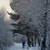 Image-square_50