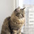 Image-square_50