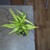 Image-square_50