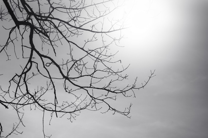 Image-normal