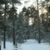 Image-square_50