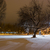 Image-square_50