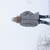 Image-square_50