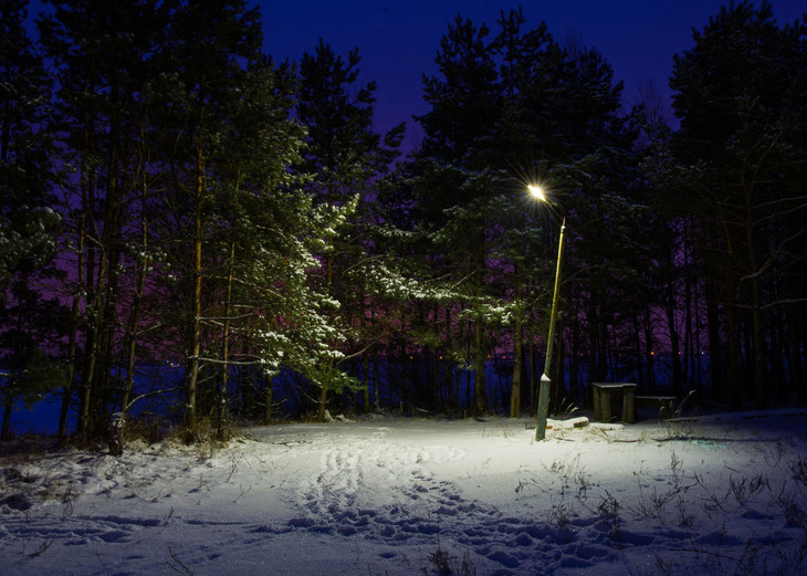 Image-normal
